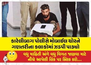 કારેલીબાગ પોલીસે મોબાઈલ ચોરને ગણતરીના કલાકોમાં ઝડપી પાડ્યો