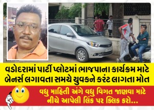 વડોદરામાં પાર્ટી પ્લોટમાં ભાજપાના કાર્યક્રમ માટે બેનર્સ લગાવતા સમયે યુવકને કરંટ લાગતા મોત