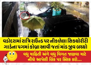 વડોદરામાં રાત્રિ રાઉન્ડ પર નીકળેલા સિક્યોરીટી ગાર્ડના પગમાં કોબ્રા આવી જતાં માંડ જીવ બચ્યો