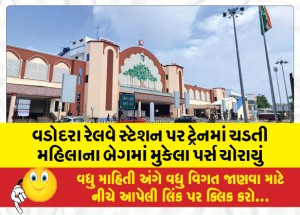 વડોદરા રેલવે સ્ટેશન પર ટ્રેનમાં ચડતી મહિલાના બેગમાં મુકેલા પર્સ ચોરાયું