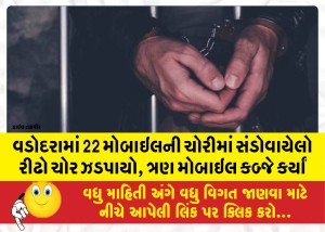 વડોદરામાં 22 મોબાઇલની ચોરીમાં સંડોવાયેલો રીઢો ચોર ઝડપાયો, ત્રણ મોબાઇલ કબ્જે કર્યાં