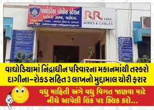 વાઘોડિયામાં નિંદ્રાધીન પરિવારના મકાનમાંથી તસ્કરો દાગીના-રોકડ સહિત 3 લાખનો મુદ્દામાલ ચોરી ફરાર