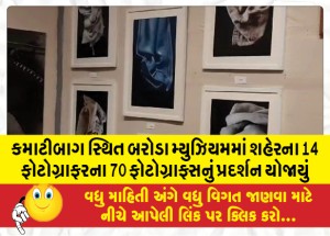 કમાટીબાગ સ્થિત બરોડા મ્યુઝિયમમાં શહેરના 14 ફોટોગ્રાફરના 70 ફોટોગ્રાફ્સનું પ્રદર્શન યોજાયું
