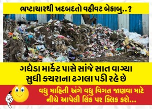 ગધેડા માર્કેટ પાસે સાંજે સાત વાગ્યા સુધી કચરાના ઢગલા પડી રહે છે