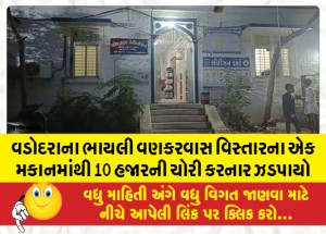 વડોદરાના ભાયલી વણકરવાસ વિસ્તારના એક મકાનમાંથી 10 હજારની ચોરી કરનાર ઝડપાયો