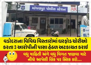 વડોદરાના વિવિધ વિસ્તારોમાં ઘરફોડ ચોરીઓ કરતા 3 આરોપીની પાસા હેઠળ અટકાયત કરાઇ