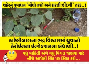 કારેલીબાગના ભદ્ર વિસ્તારમાં યુવાનો હેરોઇનના ઇન્જેકશનના બંધાણી..!