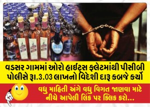 વડસર ગામમાં ઓરો હાઈટ્સ ફ્લેટમાંથી પીસીબી પોલીસે રૂા.3.03 લાખનો વિદેશી દારૂ કબજે કર્યો