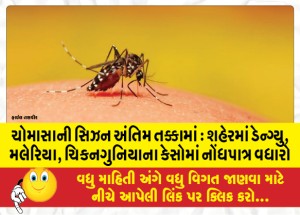 ચોમાસાની સિઝન અંતિમ તક્કામાં : શહેરમાં ડેન્ગ્યુ, મલેરિયા, ચિકનગુનિયાના કેસોમાં નોંધપાત્ર વધારો