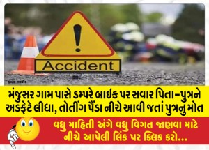 મંજુસર ગામ પાસે ડમ્પરે બાઇક પર સવાર પિતા-પુત્રને અડફેટે લીધા, તોતીંગ પૈંડા નીચે આવી જતાં પુત્રનું ઘટનાસ્થળે જ મોત