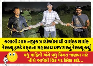 કલાલી ગામ નજીક ઝાડીઓમાંથી વાઈલ્ડ લાઈફ રેસ્ક્યૂ ટ્રસ્ટે 8 ફૂટના મહાકાય અજગરનું રેસ્ક્યૂ કર્યું