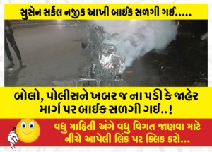 બોલો, પોલીસને ખબર જ ના પડી કે જાહેર માર્ગ પર બાઈક સળગી ગઈ..!