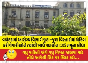 વડોદરામાં આરોગ્ય વિભાગે જુદા-જુદા વિસ્તારોમાં ચેકિગ કરી વેપારીઓને ત્યાંથી ખાદ્ય પદાર્થોના 105 નમૂના લીધા