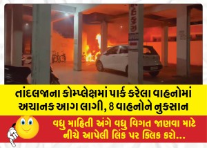 તાંદલજાના કોમ્પ્લેક્ષમાં પાર્ક કરેલા વાહનોમાં અચાનક આગ લાગી, 8 વાહનોને નુકસાન