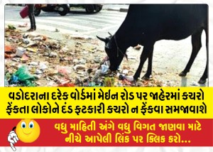 વડોદરાના દરેક વોર્ડમાં મેઇન રોડ પર જાહેરમાં કચરો ફેંકતા લોકોને દંડ ફટકારી કચરો ન ફેંકવા સમજાવાશે