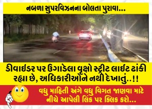 ડીવાઇડર પર ઉગાડેલા વૃક્ષો સ્ટ્રીટ લાઈટ ઢાકી રહ્યા છે, અધિકારીઓને નથી દેખાતું..!!