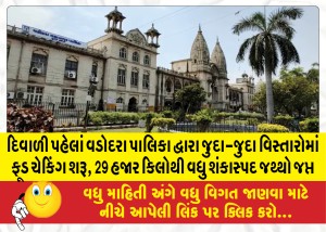 દિવાળી પહેલાં વડોદરા પાલિકા દ્વારા જુદા-જુદા વિસ્તારોમાં ફૂડ ચેકિગ શરૂ, 29 હજાર કિલોથી વધુ શંકાસ્પદ જથ્થો જપ્ત