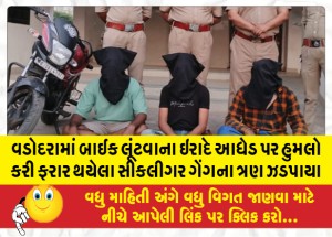 વડોદરામાં બાઈક લૂંટવાના ઇરાદે આધેડ પર હુમલો કરી ફરાર થયેલા સીકલીગર ગેંગના ત્રણ ઝડપાયા