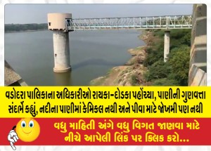 વડોદરા પાલિકાના અધિકારીઓ રાયકા-દોડકા પહોંચ્યા, પાણીની ગુણવત્તા સંદર્ભે કહ્યું, નદીના પાણીમાં કેમિકલ નથી અને પીવા માટે જોખમી પણ નથી