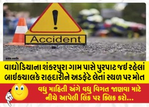 વાઘોડિયાના શંકરપુરા ગામ પાસે પુરપાટ જઇ રહેલાં બાઇકચાલકે રાહદારીને અડફેટે લેતાં સ્થળ પર મોત