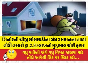 શિનોરની શ્રીજી સોસાયટીના 3 બંધ મકાનના તાળાં તોડી તસ્કરો રૂા.2.80 લાખનો મુદ્દામાલ ચોરી ફરાર