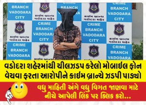 વડોદરા શહેરમાંથી ચીલઝડપ કરેલો મોબાઇલ ફોન વેચવા ફરતા આરોપીને ક્રાઇમ બ્રાન્ચે ઝડપી પાડ્યો