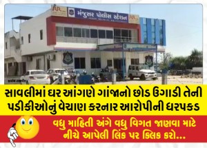 સાવલીમાં ઘર આંગણે ગાંજાનો છોડ ઉગાડી તેની પડીકીઓનું વેચાણ કરનાર આરોપીની ધરપકડ