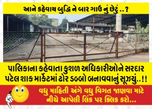 પાલિકાના કહેવાતા કુશળ અધિકારીઓને સરદાર પટેલ શાક માર્કેટમાં ઢોર ડબ્બો બનાવવાનું સૂઝયું..!!