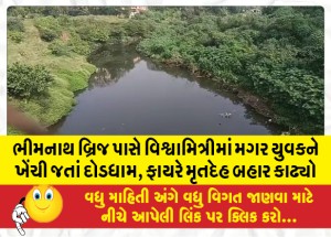 ભીમનાથ બ્રિજ પાસે વિશ્વામિત્રીમાં મગર યુવકને ખેંચી જતાં દોડધામ, ફાયરે મૃતદેહ બહાર કાઢ્યો