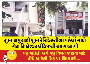 સુભાનપુરાની શુભ રેસિડેન્સીના પહેલાં માળે ગેસ સિલેન્ડર લીકેજથી આગ લાગી