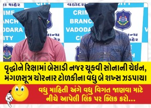 વૃદ્ધોને રિક્ષામાં બેસાડી નજર ચૂકવી સોનાની ચેઇન, મંગળસૂત્ર ચોરનાર ટોળકીના વધુ બે શખ્સ ઝડપાયા