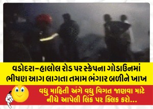 વડોદરા-હાલોલ રોડ પર સ્ક્રેપના ગોડાઉનમાં ભીષણ આગ લાગતા તમામ ભંગાર બળીને ખાખ