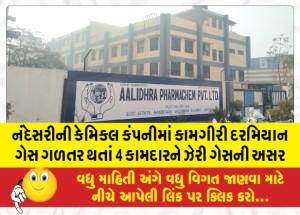 નંદેસરીની કેમિકલ કંપનીમાં કામગીરી દરમિયાન ગેસ ગળતર થતાં 4 કામદારને ઝેરી ગેસની અસર