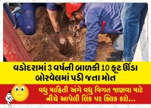 વડોદરામાં 3 વર્ષની બાળકી 10 ફૂટ ઊંડી બોરવેલમાં પડી જતા મોત