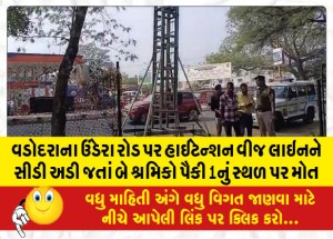 વડોદરાના ઉંડેરા રોડ પર હાઇટેન્શન વીજ લાઇનને સીડી અડી જતાં બે શ્રમિકો પૈકી 1નું સ્થળ પર મોત