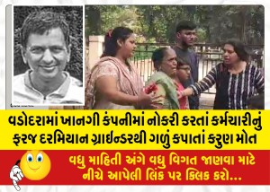 વડોદરામાં ખાનગી કંપનીમાં નોકરી કરતાં કર્મચારીનું ફરજ દરમિયાન ગ્રાઇન્ડરથી ગળું કપાતાં કરુણ મોત