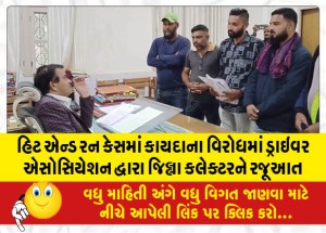 હિટ એન્ડ રન કેસમાં કાયદાના વિરોધમાં ડ્રાઇવર એસોસિયેશન દ્વારા જિલ્લા કલેક્ટરને રજૂઆત
