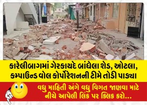 કારેલીબાગમાં ગેરકાયદે બાંધેલા શેડ, ઓટલા, કમ્પાઉન્ડ વોલ કોર્પોરેશનની ટીમે તોડી પાડ્યા