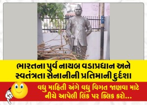 ભારતના પુર્વ નાયબ વડાપ્રધાન અને સ્વતંત્રતા સેનાનીની પ્રતિમાની દુર્દશા