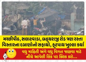 મચ્છીપીઠ, સલાટવાડા, બહુચરાજી રોડ ત્રણ રસ્તા વિસ્તારના દબાણોનો સફાયો, ફૂટપાથ ખુલ્લા કર્યા