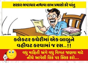 કલેકટર કચેરીમાં એક બાબુને વહીવટ કરવામાં જ રસ..!!