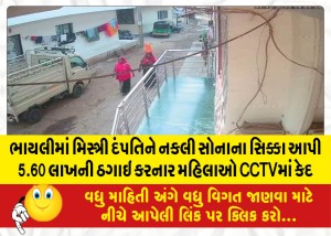 ભાયલીમાં મિસ્ત્રી દંપતિને નકલી સોનાના સિક્કા આપી 5.60 લાખની ઠગાઇ કરનાર મહિલાઓ CCTVમાં કેદ