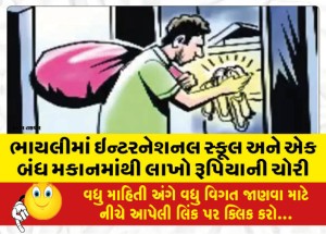 ભાયલીમાં ઇન્ટરનેશનલ સ્કૂલ અને એક બંધ મકાનમાંથી લાખો રૂપિયાની ચોરી