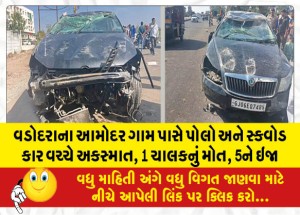 વડોદરાના આમોદર ગામ પાસે પોલો અને સ્ક્વોડ કાર વચ્ચે અકસ્માત, 1 ચાલકનું મોત, 5ને ઇજા