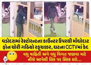 વડોદરામાં રેસ્ટોરન્ટના કાઉન્ટર ઉપરથી મોંઘોદાટ ફોન ચોરી ગઠિયો રફુચક્કર, ઘટના CCTVમાં કેદ