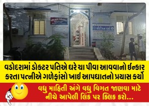 વડોદરામાં ડોક્ટર પતિએ ઘરે ચા પીવા આવવાનો ઈન્કાર કરતા પત્નીએ ગળેફાંસો ખાઇ આપઘાતનો પ્રયાસ કર્યો