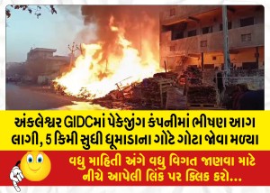 અંકલેશ્વર GIDCમાં પેકેજીંગ કંપનીમાં ભીષણ આગ લાગી, 5 કિમી સુધી ધૂમાડાના ગોટે ગોટા જોવા મળ્યા