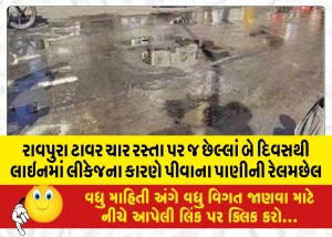 રાવપુરા ટાવર ચાર રસ્તા પર જ છેલ્લાં બે દિવસથી લાઇનમાં લીકેજના કારણે પીવાના પાણીની રેલમછેલ