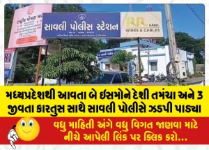 મધ્યપ્રદેશથી આવતા બે ઇસમોને દેશી તમંચા અને 3 જીવતા કારતુસ સાથે સાવલી પોલીસે ઝડપી પાડ્યા