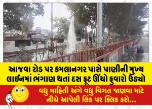 આજવા રોડ પર કમલાનગર પાસે પાણીની મુખ્ય લાઈનમાં ભંગાણ થતાં દસ ફૂટ ઊંચો ફુવારો ઉડ્યો